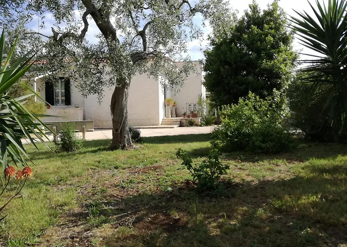 招待所 Countryhouse 3*